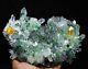 4.58lb Rare Beatiful Green Tibetan Ghost Phantom Quartz Crystal Cluster Specimen