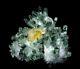 4.5lb Beauty Clear Green Phantom Quartz Crystal Cluster Point Mineral Specimen