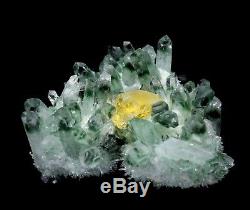4.5LB Beauty Clear Green Phantom Quartz Crystal Cluster Point Mineral Specimen