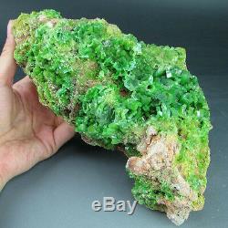 4.5lbs Apple Green Pyromorphite Loaded Crystal Cluster nice deal pye0217