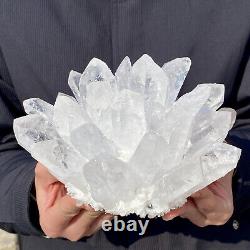 4.6LB Newly discovered white Phantom Quartz Crystal Cluster mineral sample