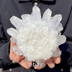 4.6LB Newly discovered white Phantom Quartz Crystal Cluster mineral sample