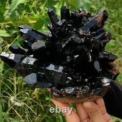 4.86LB Natural Beautiful Black Quartz Crystal Cluster Mineral Specimen Rare 419B