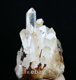 4.91lb Natural Beautiful white Quartz Crystal Cluster POINT Mineral Specimen