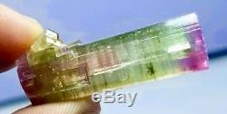 40 cts World Class Purple cap St Tourmaline crystal with small crystals bunch