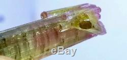 40 cts World Class Purple cap St Tourmaline crystal with small crystals bunch