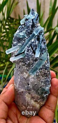 401 Grams Terminated Blue Aquamarine Black Tourmaline Bunch On Quartz Crystal
