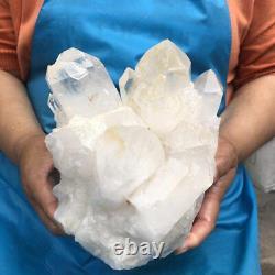 4010G Natural Clear Quartz Cluster Crystal Cluster Mineral Specimen Heals