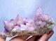 402g A Grade Large Stunning Spirit Cactus Quartz Crystal Cluster South Africa