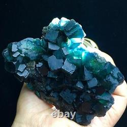 403g Translucent Deep Green Blue Cubic Fluorite with Quartz Crystal Cluster China