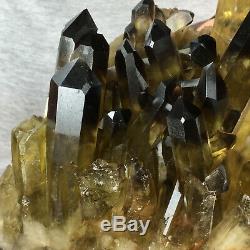 4067g Large Natural Black Smoky Quartz Crystal Cluster Rough Healing Specimen