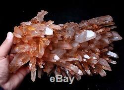 4133g New Find Clear Natural Pink QUARTZ Crystal Cluster Original Specimen