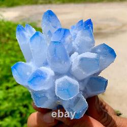 413G New Find blue Phantom Quartz Crystal Cluster MineralSpecimenHealing