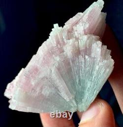 420 Cts Natural Tourmaline Crystals Bunch Specimen From Afghanistan