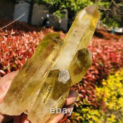 429G Natural citrine Crystal quartz Cluster Mineral Specimen Healing