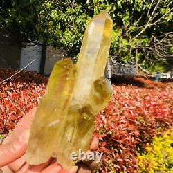 429G Natural citrine Crystal quartz Cluster Mineral Specimen Healing
