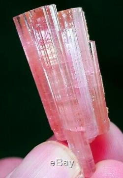 43.5 Ct-Top Class Fully Terminated Pink Color Stepwise TOURMALINE Crystal Bunch