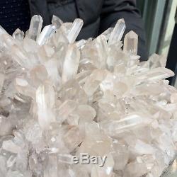 43 lb 17 Natural Beautiful Rock Crystal Quartz Cluster Specimen DR7