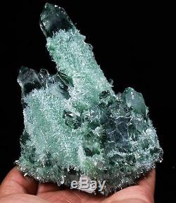 435g New Find Green Phantom Quartz Crystal Cluster Mineral Specimen Healing