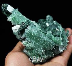 435g New Find Green Phantom Quartz Crystal Cluster Mineral Specimen Healing
