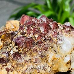 445g Rare Natural Red Phantom Quartz Crystal Cluster Raw Rough Mineral Specimens