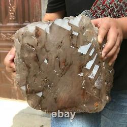 45LB Huge Natural smoky skeleton Quartz Crystal Cluster mineral Specimen healing
