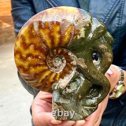 470G Rare! Natural Tentacle Ammonite FossilSpecimen Shell Healing Madagascar