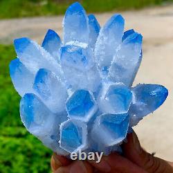 475G New Find blue Phantom Quartz Crystal Cluster MineralSpecimenHealing