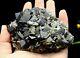 480g Natural Black Andradite Garnet Crystal Cluster Quartz Inner Mongolia China