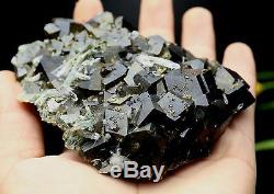 480g Natural black Andradite Garnet Crystal Cluster Quartz Inner Mongolia China
