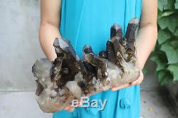 4840g Natural Beautiful Black White Quartz Crystal Cluster Tibetan Specimen #901
