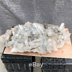 49.28LB Natural Clear Quartz Cluster Mineral Crystal Specimen 23.6 TT512