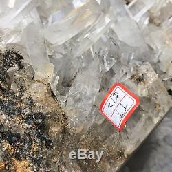 49.28LB Natural Clear Quartz Cluster Mineral Crystal Specimen 23.6 TT512