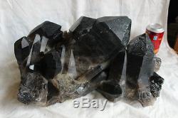 49.3lb Huge Natural Dark Smokey Black Quartz Crystal Cluster Points Original