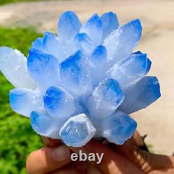 491G New Find blue Phantom Quartz Crystal Cluster MineralSpecimenHealing
