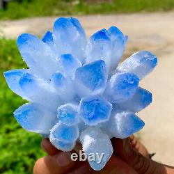 491G New Find blue Phantom Quartz Crystal Cluster MineralSpecimenHealing