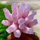 494g New Find Pink Phantom Quartz Crystal Cluster Mineralspecimenhealing