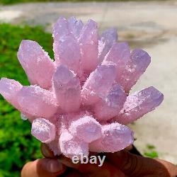 494G New Find Pink Phantom Quartz Crystal Cluster MineralSpecimenHealing