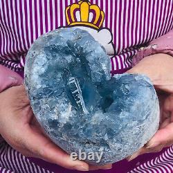 4LB Natural Blue Celestite Crystal Geode Quartz Cluster Mineral Specimen Reiki