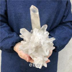 4LB Natural smokey quartz cluster mineral specimen crystal healing DB3701-IA-6