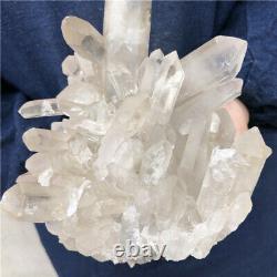4LB Natural smokey quartz cluster mineral specimen crystal healing DB3701-IA-6