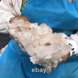 5.17LB Natural Transparent White Quartz Crystal Cluster SpecimenHealing 456