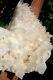 5.1lb Large Natural Clear White Quartz Crystal Cluster Rough Healing Specimen