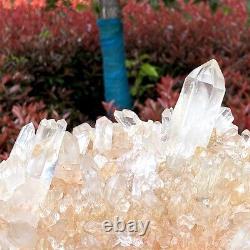 5.23LB Top natural transparent crystal quartz crystal cluster mineral specimen