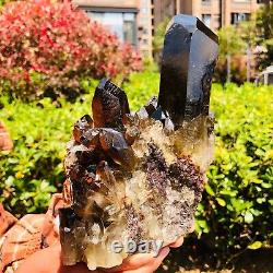 5.36LB Large Natural Citrine Quartz Cluster Crystal mineral specimen healing
