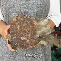 5.3LB Natural smokey cluster Mineral quartz crystal specimen healing AV880