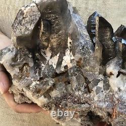 5.56LB Smokey crystal cluster quartz crystal point mineral specimen gem XC770
