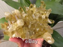 5.5lb NATURAL Citrine quartz crystal cluster Point Specimens