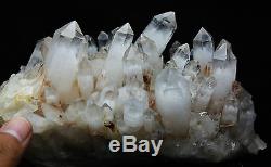 5.65lb AAA Clear Natural White Phantom pyramid QUARTZ Crystal Cluster Specimen