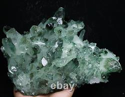5.69lb RARE! New Find Natural Beatiful Green Quartz Crystal Cluster Specimen
